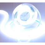 Banda LED Digitala RFAN, Lumina Rece, 6000K, 10m/Rola, 10W/M, 24V