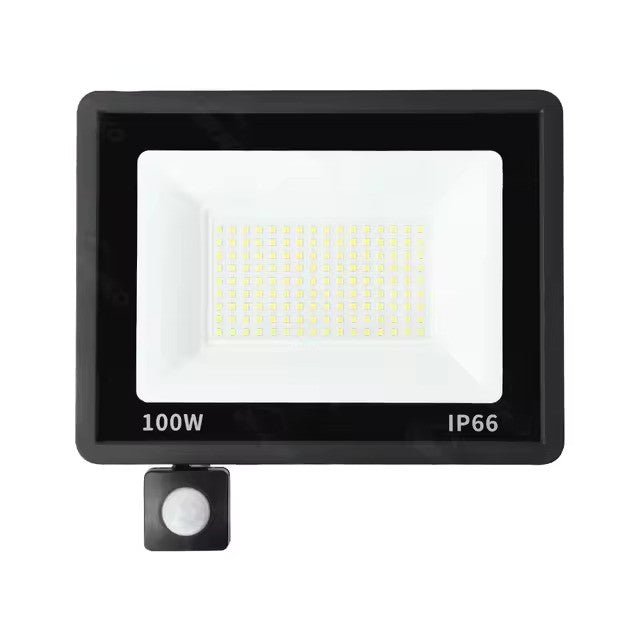 Proiector LED Cu Senzor De Miscare, Rezistent la Apa IP66, Lumina Rece, 220V, 100W